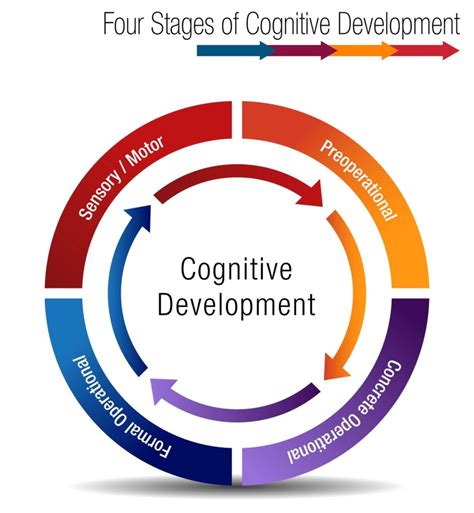 Nurturing Cognitive Development In Child Care Procare