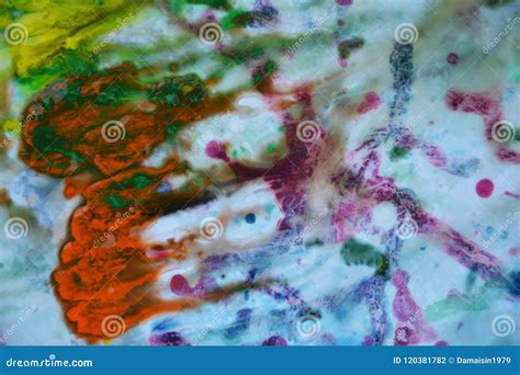 Abstract Mixed Purple Orange Yellow Blue Colors And Hues Abstract