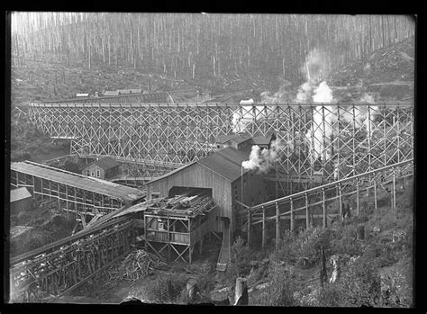 12 Rare Photos Show Oregon S Logging History Like Never Before Oregon Logging Industry