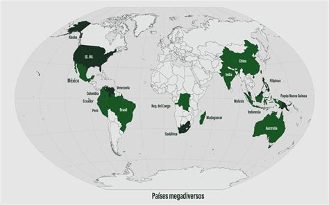 34 Mapa De La Biodiversidad Del Mundo Full Mercio Mapa Reverasite