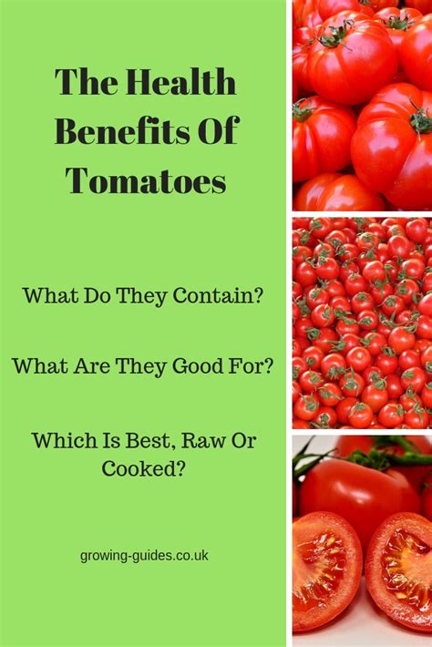 the health benefits of tomatoes growing guides