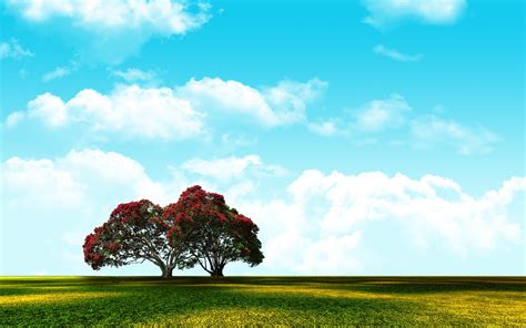 Red And Green Tree Sky Nature Landscape Photoshop Hd Wallpaper