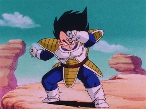 Is There Any Martial Arts Explanation Behind Vegetas Battle Stance