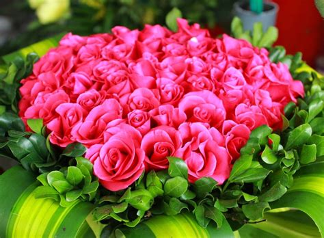 Cập nhật với hơn 116 hình nền ảnh hoa đẹp mới nhất thpthaibatrung edu vn
