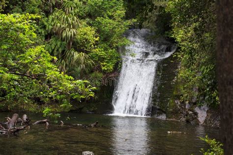 Beautiful Waterfall In New Zealand In Lush Rainforest Stock Image