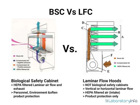 Guide On Laminar Flow Hood Cabinet Types Parts Principle Uses Precautions