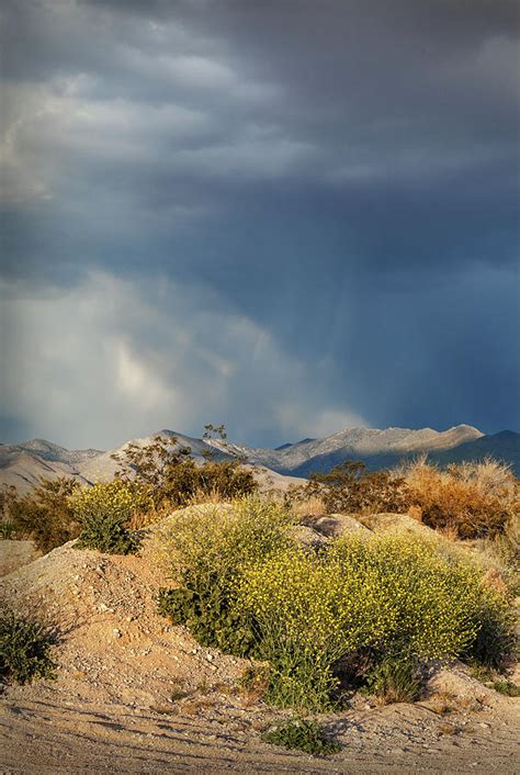 Dramatic Sky Over The Desert Photograph By Evgeniya Lystsova Fine Art