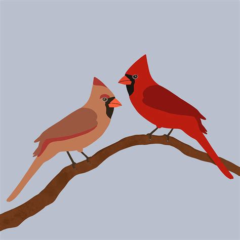 Cardinal Couple Digital Art By Michelle Petrash Fine Art America