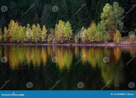 Idyllic Autumn Landscape In Transylvania Sfanta Ana Lake Stock Photo