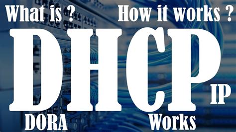 What Is Dhcp Dhcp Explained Dynamic Host Configuration Protocol