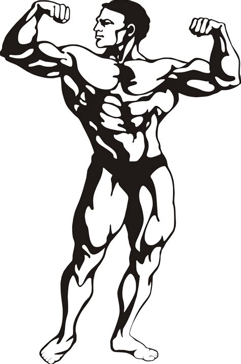Muscles Transparent Png Download