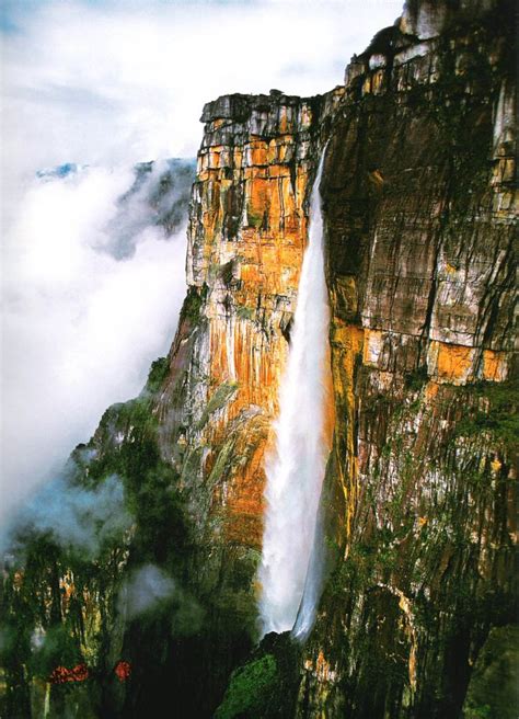 Angel Falls The Waterfall Is So High It Becomes A Mist At The Bottom
