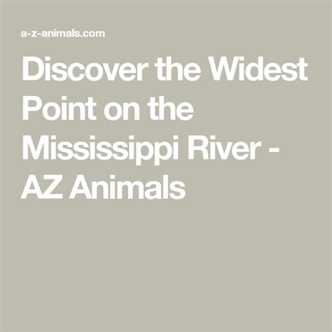 Discover The Widest Point On The Mississippi River Az Animals