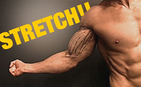 The Real Way To Stretch Your Biceps Finally Feel It‏