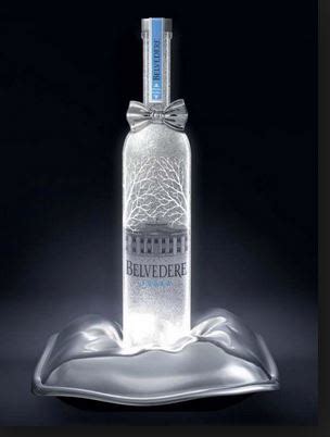 Take a look at the 14 most expensive homes in the world brie dyas 1 day. World's Most Expensive Vodka Stolen from a Bar | Venas News