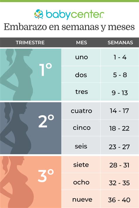 Hasta Cuantas Semanas Dura Un Embarazo Change Comin