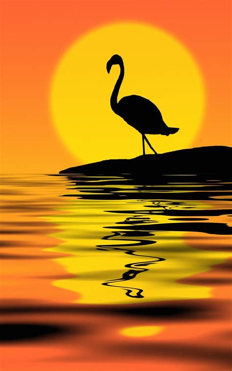 Flamingo At Sunset By Nataly1st On Deviantart Silhouette Painting