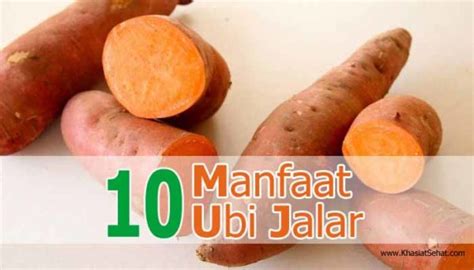 10 Manfaat Ubi Jalar Untuk Kesehatan Khasiat Sehat