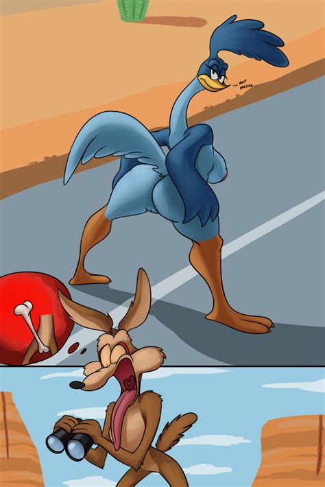 Rule 34 Anthro Ass Avian Beak Big Breasts Bird Breasts Canine Coyote