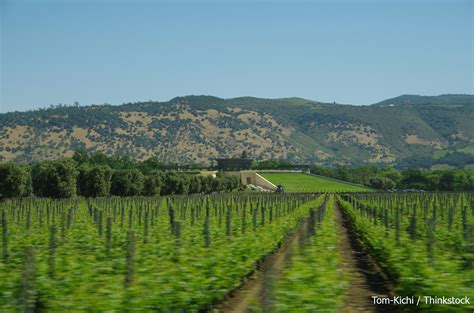 Is It Easy To Drive From San Francisco To Napa Valley? 2