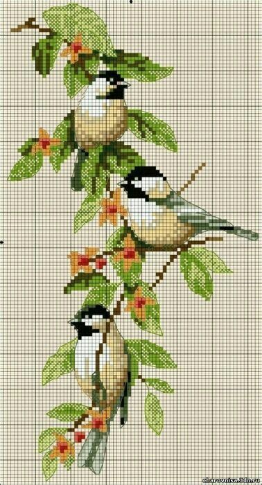 Looking for free cross stitch patterns? Image by لیلا سادات on bird | Cross stitch flowers, Cross stitch designs, Cross stitch patterns