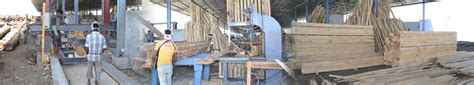 About Chaudhary Timber Industries Pvt. Ltd.
