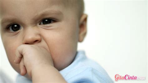 Polip hidung merupakan sebuah kondisi yang mana ada pertumbuhan jaringan di sekitar saluran pernapasan hidung. Cara Mengatasi Hidung Tersumbat Pada Bayi & Anak ...
