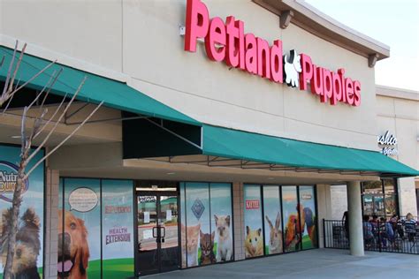NBC: Puppies from 'puppy mill' chain PETLAND sicken 39 people, CDC says