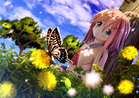 Anime Girls Butterfly Flower Wallpapers Hd Desktop