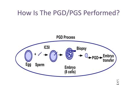 Ppt Preimplantation Genetic Diagnosis Pgd Powerpoint Presentation
