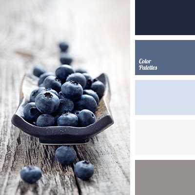 The best paint colors for 2021, according to interior designers. denim blue | Color Palette Ideas