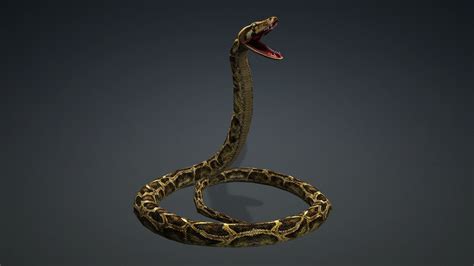 3d Model Anaconda Animated Vr Ar Low Poly Cgtrader