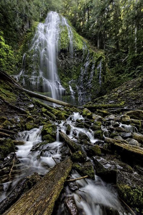 Proxy Falls In Summer Bill Leach Fine Art Photography