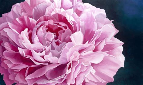 Peony Painted In Acrylic On Stretched Canvas By Rachel Perls Peony