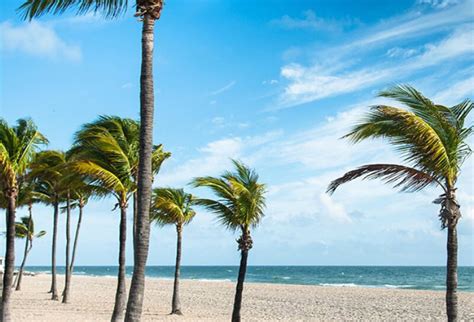 Check spelling or type a new query. Statute of Limitations in Florida Mortgage Loan Foreclosure Lawsuits - Loan Lawyers