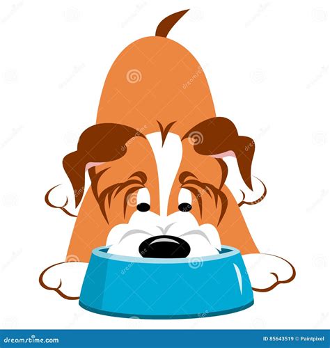 Dog With Bowl Stock Vector Illustration Of Drinking 85643519