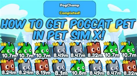 How To Get Pog Cat And Other Pog Pets In Pet Simulator X Roblox