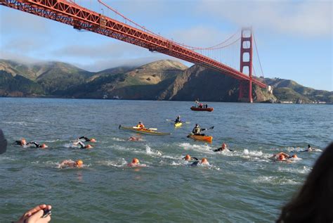 Is The San Francisco Bay Clean To Swim In?