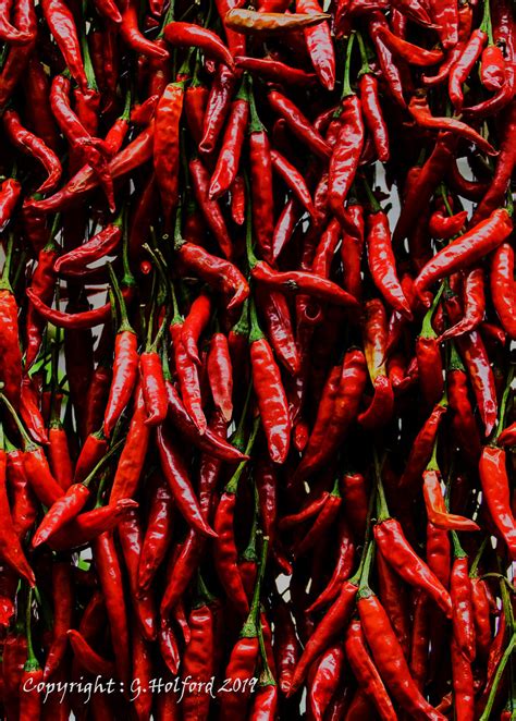 Red Hot Chillies Chillies On Sale In The Market At Funchal Holfo Flickr