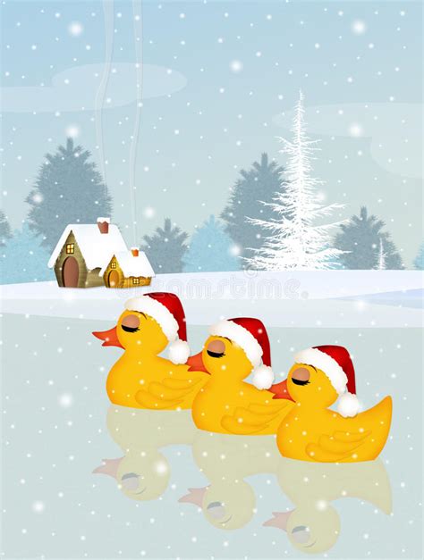 Christmas Ducks Stock Illustrations 261 Christmas Ducks Stock