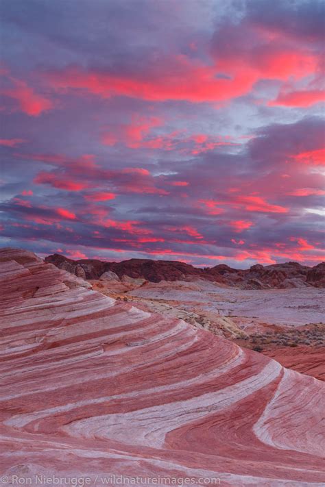 Fire Wave Valley Of Fire State Park Nevada Ron Niebrugge Photography