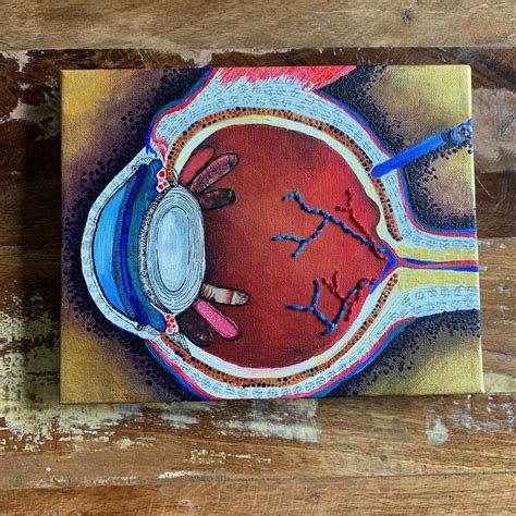 Eyeball Painting Anatomical Eyeball Painting Eyeball Etsy