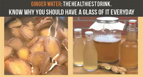 Ginger Water The Healthiest Drink Know Why You Should Have A Glass Of