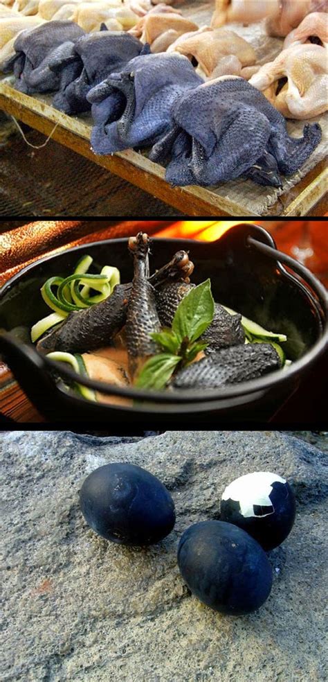 Blog Serius: Serius Cool - Ayam Cemani : Ayam Yang Hitam Dari Bulu