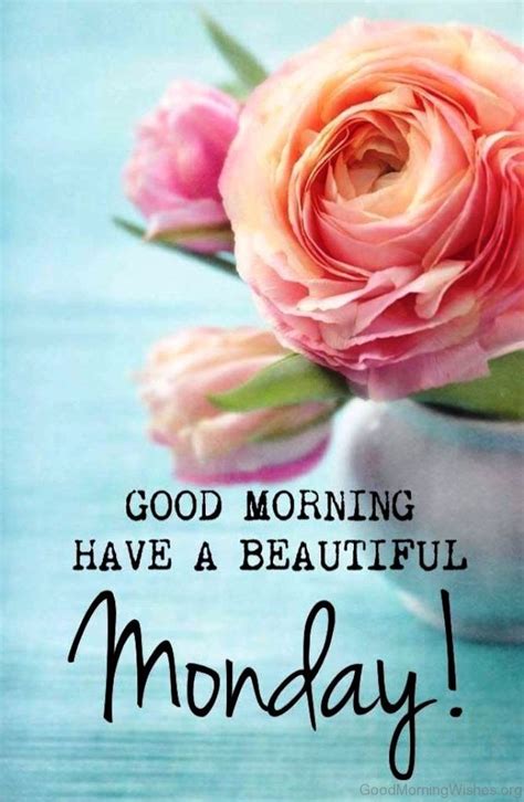See more ideas about good morning quotes, morning greetings quotes, morning quotes. 34 Monday Good Morning Wishes