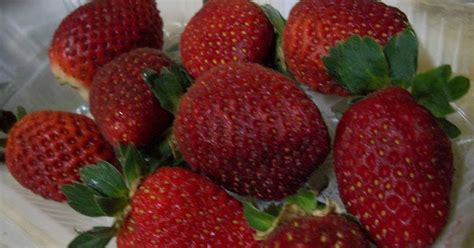 Cameron highlands strawberry farm is another attraction that you should not miss. suterazen.blogspot.com: Aiskrim Malaysia perisa Strawberry ...
