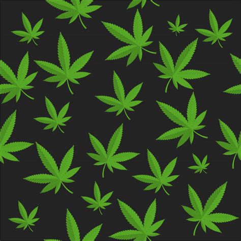 Cannabis Leaf Illustrations Royalty Free Vector Graphics And Clip Art
