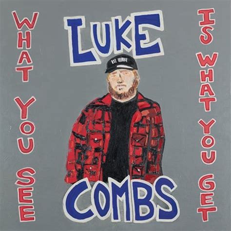 luke combs what you see is what you get vinyl 2lp music direct