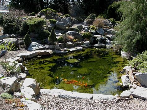 We didn't have far to go to enjoy a rich and rewarding glimpse of nature. Koi Pond | seawt10 215 | By: brewbooks | Flickr - Photo ...