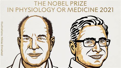 Us Duo Julius And Patapoutian Win 2021 Nobel Prize In Medicine World